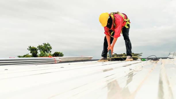 Best Roof Leak Repair  in Augusta, WI