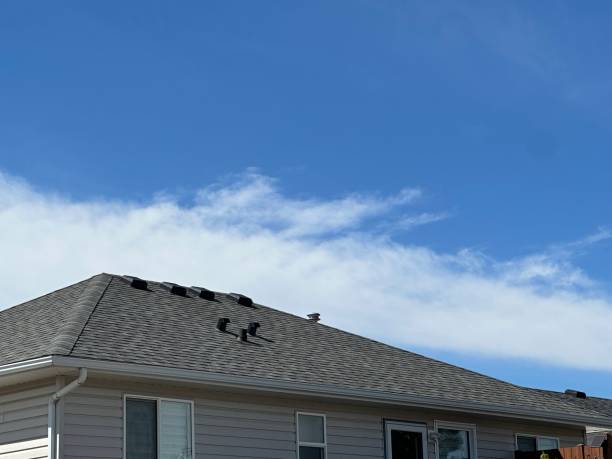 Best Roof Replacement  in Augusta, WI